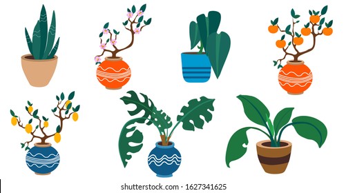 potted plants set, vector illustration isolated on white background