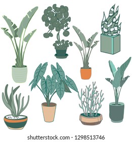 Potted Plants Set Vector. Indoor Home, Office Modern Style Houseplants.