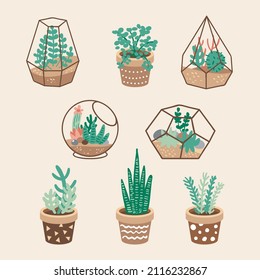 Potted Plants and Terrarium Plants