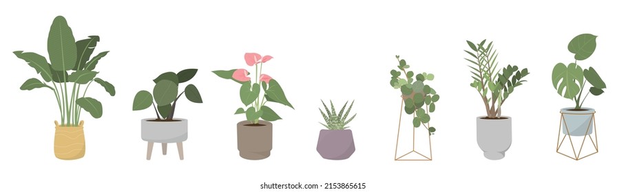 Potted plants vector collection on white background. Set of interior house plants with flower pot, basket, vase, leaves and foliage. Different home indoor green decor illustration for decoration, art.