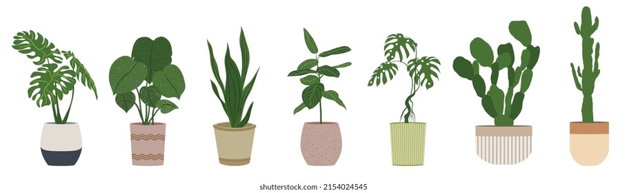 Potted plants vector collection on white background. Set of interior house plants with pot, monstera leaf, leaves and foliage. Different home indoor green decor illustration for decoration, art.