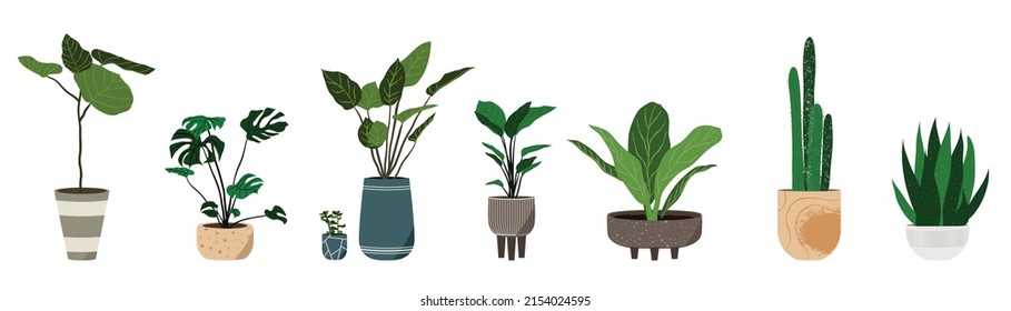 Potted plants vector collection on white background. Set of interior house plants with pot, monstera leaf, leaves and foliage. Different home indoor green decor illustration for decoration, art.