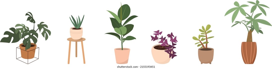 Potted plants vector collection on white background. Set of interior house plants with flower pot, basket, vase, leaves and foliage. Different home indoor green decor illustration for decoration, art.