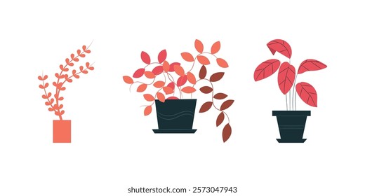 Potted plants vector collection on white background. Vector collection of potted plants isolated on white background featuring decorative houseplants and modern botanical designs