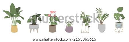 Similar – Image, Stock Photo pot plant Nature