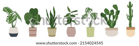 Similar – Image, Stock Photo pot plant Nature
