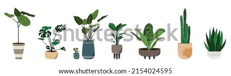 Similar – Image, Stock Photo pot plant Nature