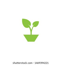 potted plants vector design illustration