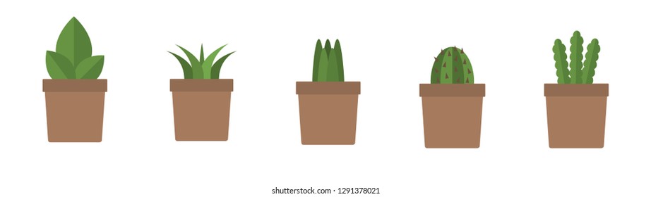 potted plants. vector illustration