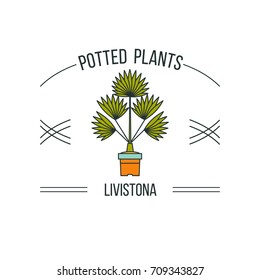 Potted plants. Vector illustration linear. Isolated on white background.