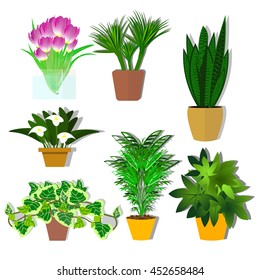 Potted plants vector. A plant for the office. Flowers. A set of potted plants