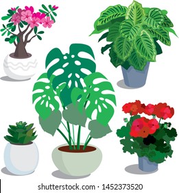 Potted plants, vector set on white background