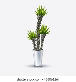 Potted plants in a white pot, Vector illustration in flat, cartoon style isolated from the background