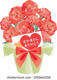 Potted red carnation with a card of the Mother's Day. Translation : "Thanks mother"
