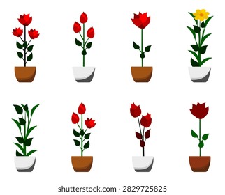 Potted red roses and flowers vector illustration