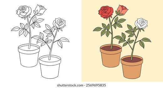 Potted Roses in Both Outlined and Colored Styles Depicting Artistic Creativity