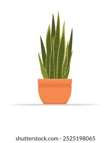 Potted Sansevieria planta ilustração stock. Decoração de jardinagem interior. Planta doméstica em um pote em estilo plano. Popular planta de casa língua materna. Dracaena trifasciata. Ilustração de vetor plano