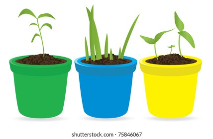 Potted seedling. Vector illustration