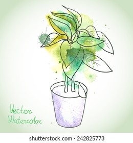 Potted seedlings, bell pepper or other plants. Painted with watercolor splashes and dark outlines. Vector illustration.