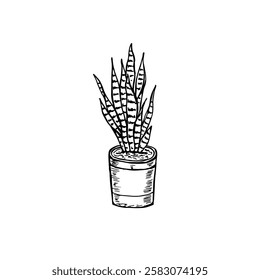 Potted snake plant hand-drawn doodle cartoon outline vector.