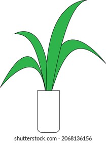 Potted snake plant with long green leaves. Dracaena icon