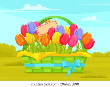 Potted spring flowers tulips in festive green wicker basket. Modern and elegant home decor bouquet. Decorative indoor foliage, flowering plant with colorful buds for interior decoration on spring lawn