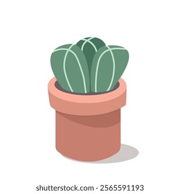 Potted succulent. Arizona plant. Mexico plant. Cacti illustration. Desert plant. Desert flower.