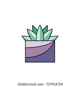 Potted succulent on white isolated background. House plant with sharp leaves in line flat style. Vector illustration of indoor flower in rectangle pot for interior design concepts.