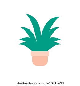 potted succulent plants flat icon vector illustration