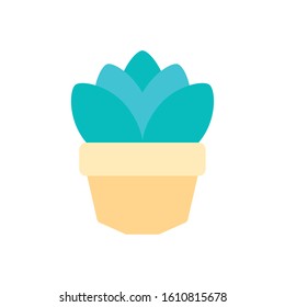 potted succulent plants flat icon vector illustration