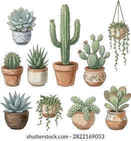 Potted succulents and cacti collection featuring saguaro, prickly pear, echeveria, haworthia, string of pearls, and burro's tail in terracotta pots isolated on white background