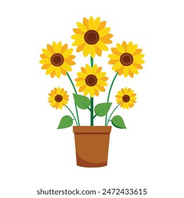 Potted Sunflower Plant vector art