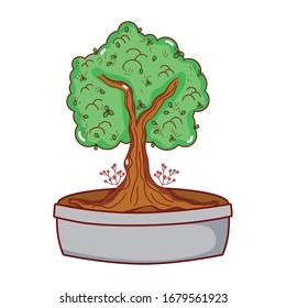potted tree bonsai japanese decoration isolated icon vector illustration