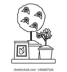 potted tree flower fertilizer gardening flat design vector illustration