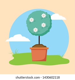 potted tree flowers plants decoration gardening flat design vector illustration