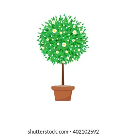Potted tree with flowers. Spring tree vector illustration