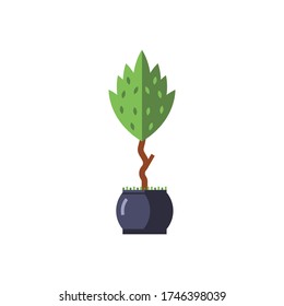 Icono de árbol pulido en diseño plano. Planta para la decoración interior de un apartamento o jardín sobre un fondo blanco aislado. Ilustración de material vectorial.
