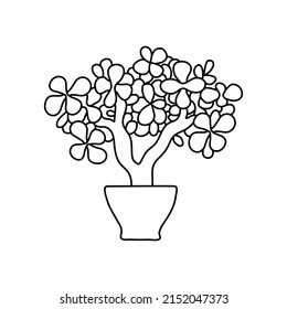 Potted tree sketch. Vector indoor plant in a pot. Doodle black and white outline illustration