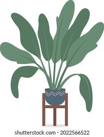 Potted tropical plant with large leaves semi flat color vector object. Full sized item on white. Low-maintenance houseplant isolated modern cartoon style illustration for graphic design and animation