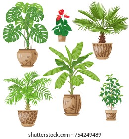 Potted tropical plants set.  Palm trees, banana plant, Anthurium, ficus, washingtonia, monstera in flowerpots isolated on white. Vector flat illustration.