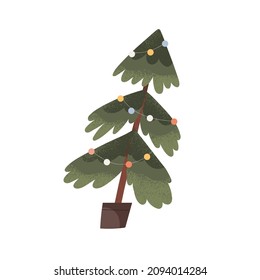 Potted Xmas tree. Christmas fir growing in planter, decorated with ornaments. Eco-friendly real fitree with garland decor. Flat vector illustration of New Year spruce isolated on white background