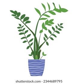 Potted Zamioculcas plant vector illustartion. Green-leaf houseplant isolated on white background. Indoor foliage decoration in flowerpot. Natural home decoration design element.