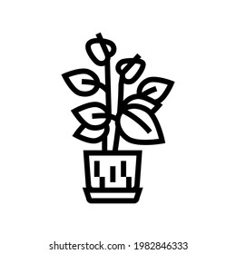 pottery flower house plant line icon vector. pottery flower house plant sign. isolated contour symbol black illustration