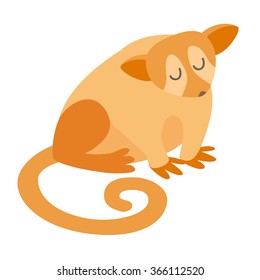 Potto. Flat cartoon vector illustration, isolate on white  background