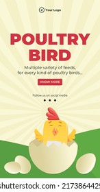 Poultry bird portrait template design.