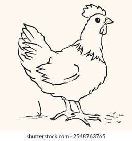 Aves de corral Ilustraciones de pollo con estilo doodle