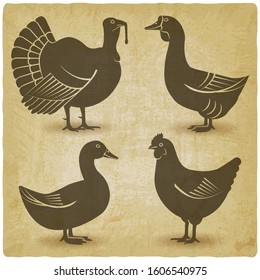 Poultry black silhouette set. Domestic fowls icons vintage background
