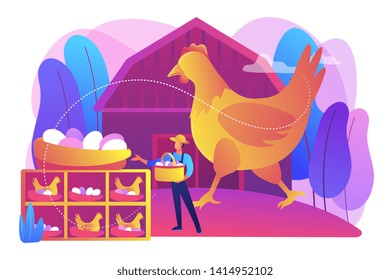 Poultry Farming Vector Art, Icons, and Graphics for Free Download