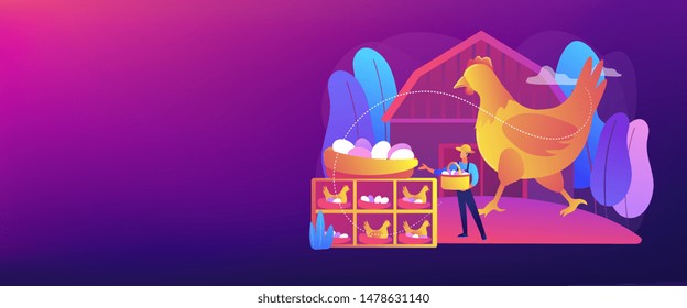 Poultry business, farming industry modern technology. Free run chicken and eggs, cage-free eggs, choose eggs from happy chickens concept. Header or footer banner template with copy space.