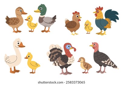 Poultry cartoon children's set. Families of domestic birds with male, female and child. Chicken, turkey, goose and duck.